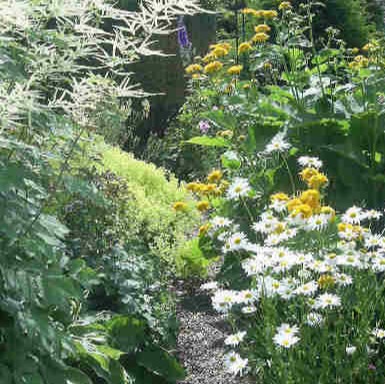 Summer Border