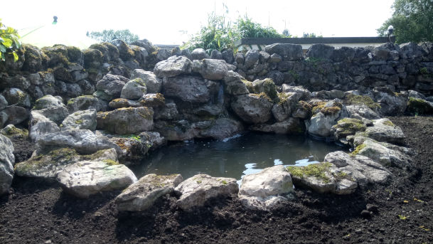 Garden pond and waterfall