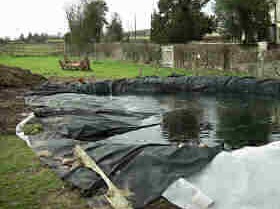 Pond building