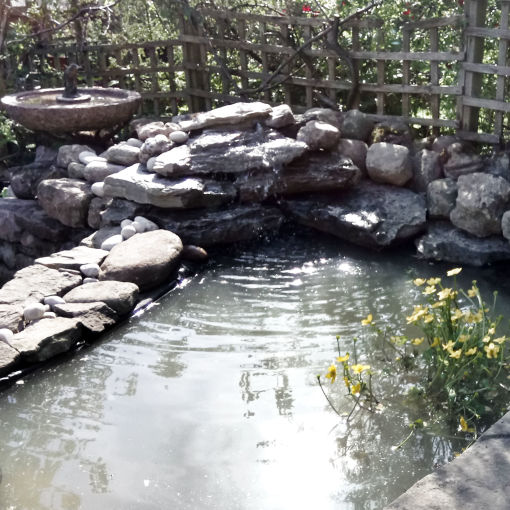 Garden Pond