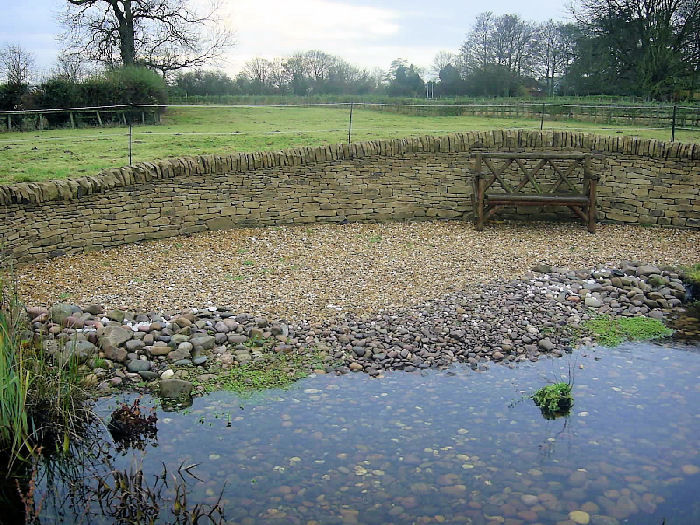 Wildlife pond