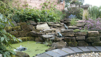 Small garden pond