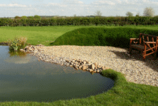 wildlife pond project