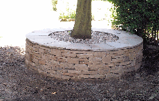 Tree seat